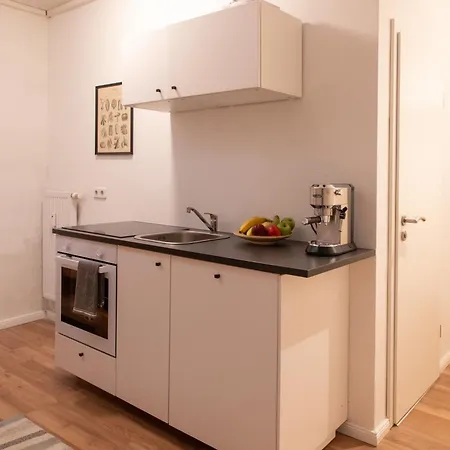 Appartamento Homely - Spacious Flat Quiet, Friedrichstrasse, River *